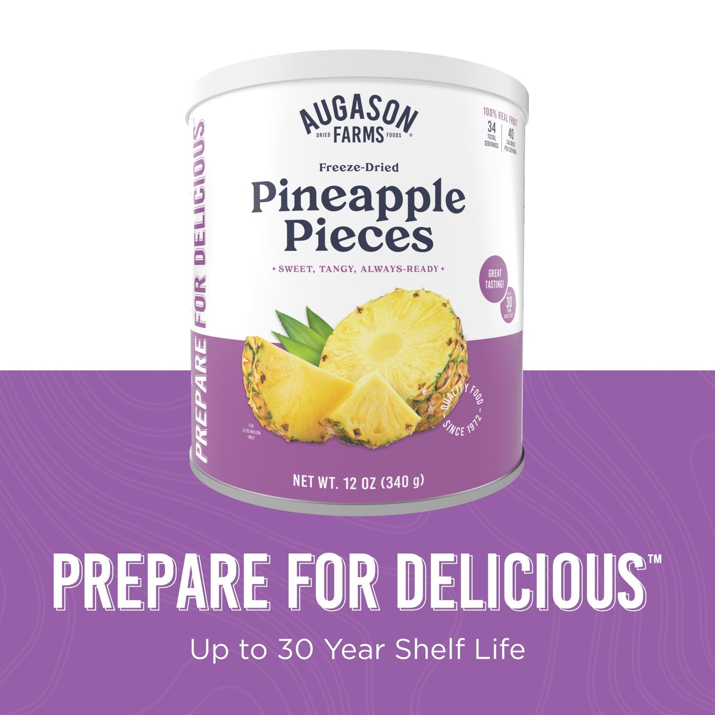 Freeze Dried Pineapple Pieces Can, 34 Servings