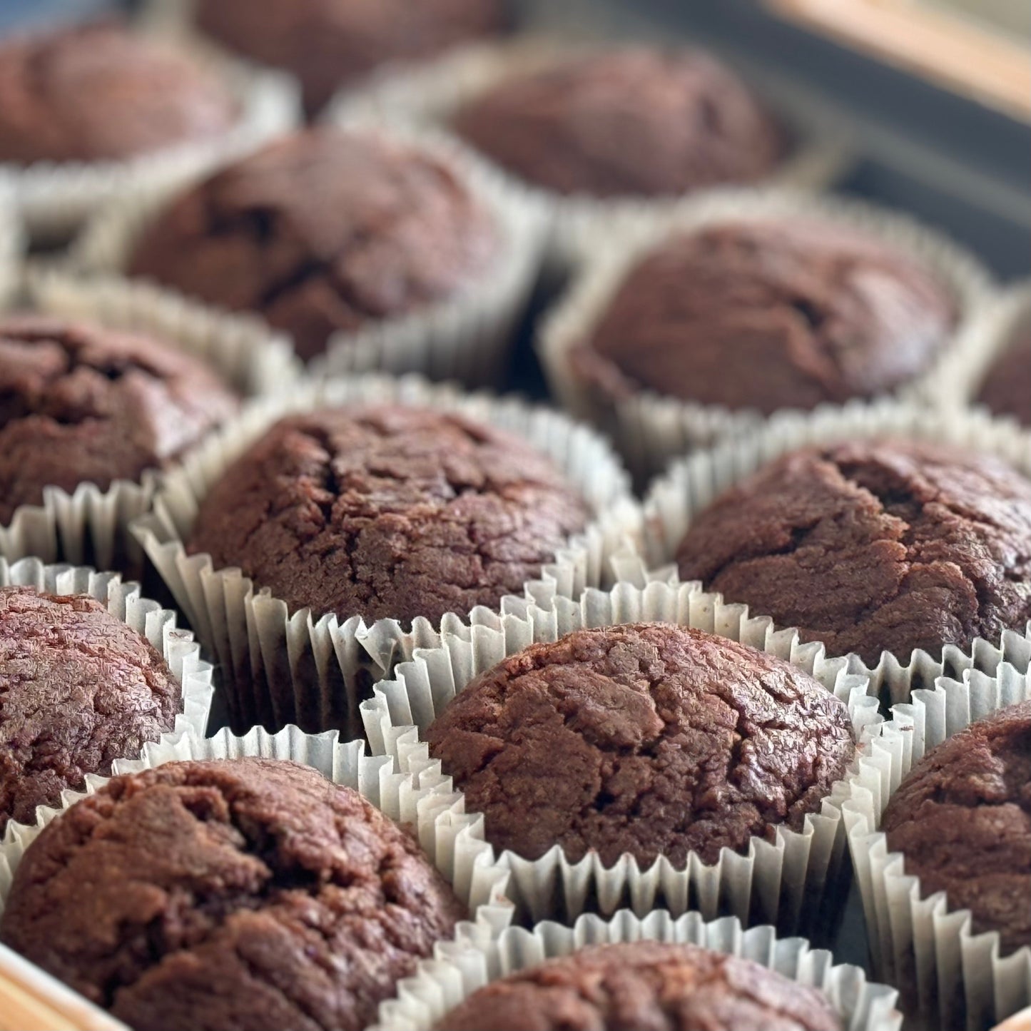 BULK 12 x Tray Packs, Military MRE Chocolate Muffin, Ready to Eat (UGR Component)