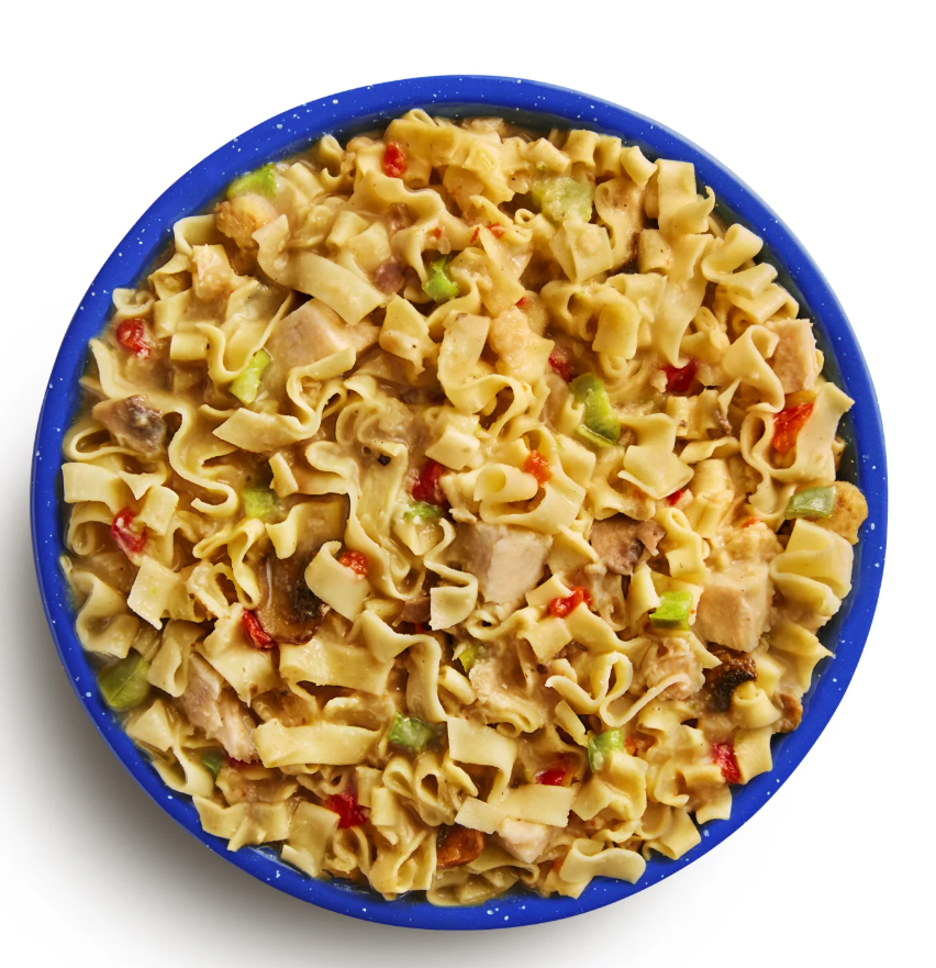 Mountain House Homestyle Chicken Noodle Casserole Pouch