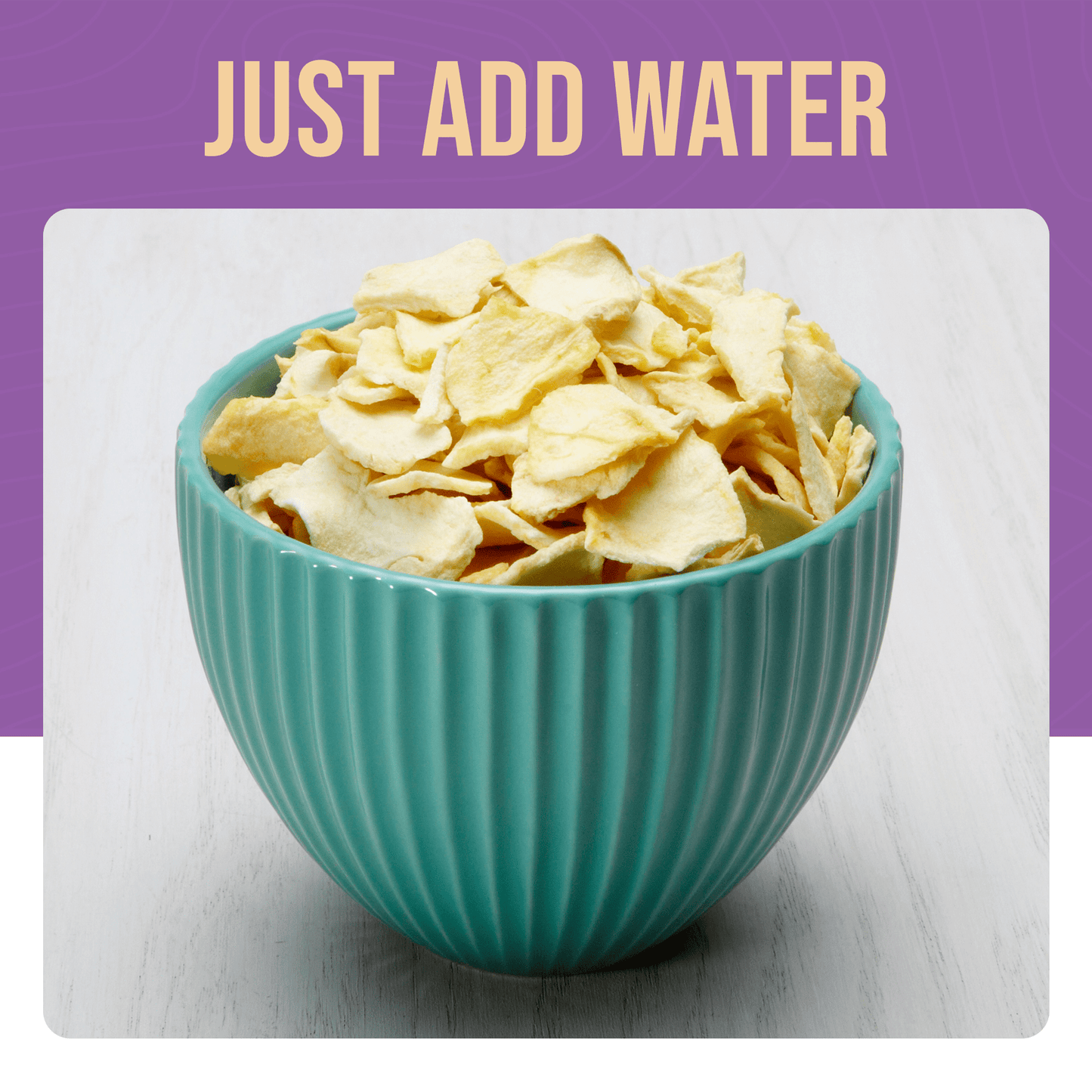 Dehydrated Apple Slices Can, 20 Servings