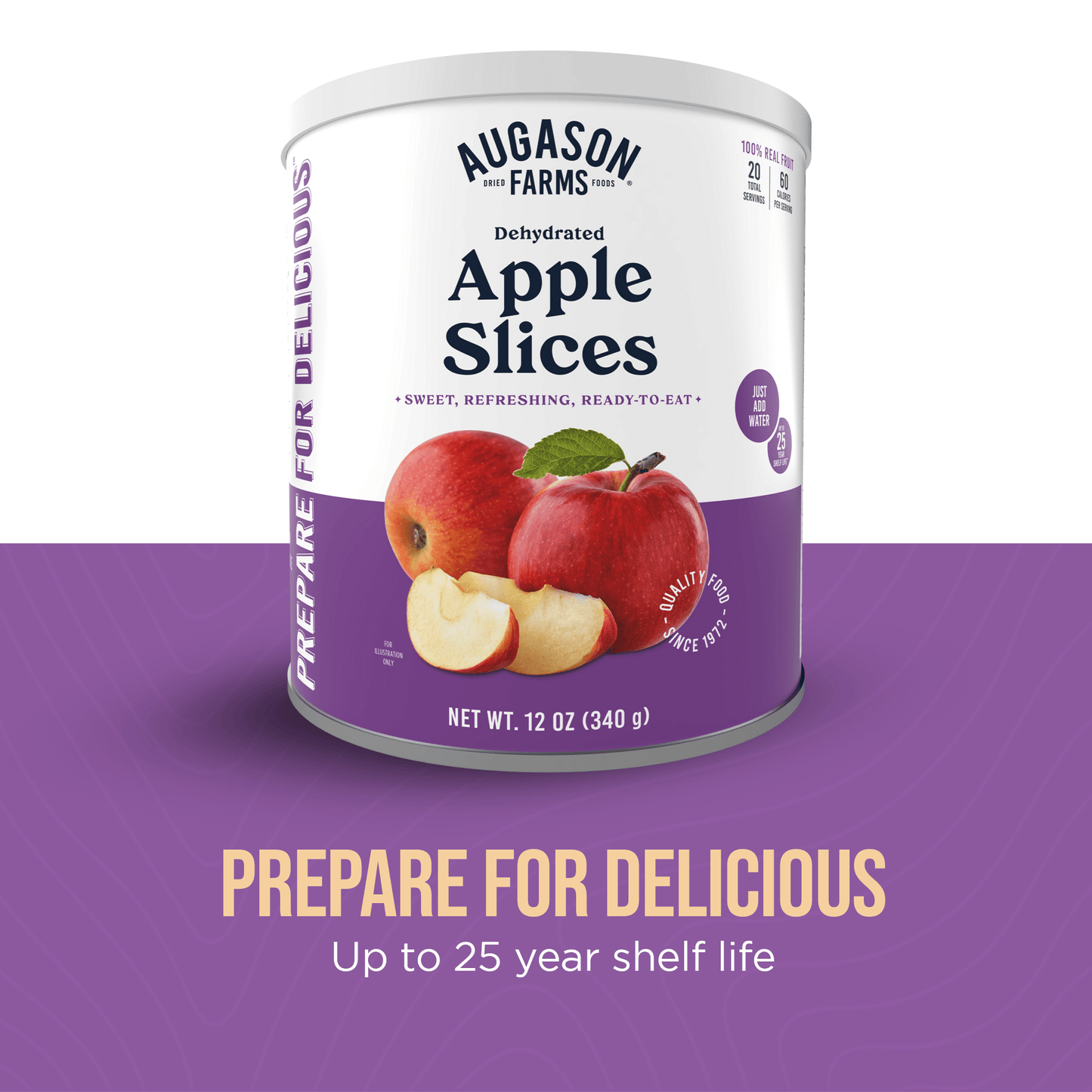 Dehydrated Apple Slices Can, 20 Servings