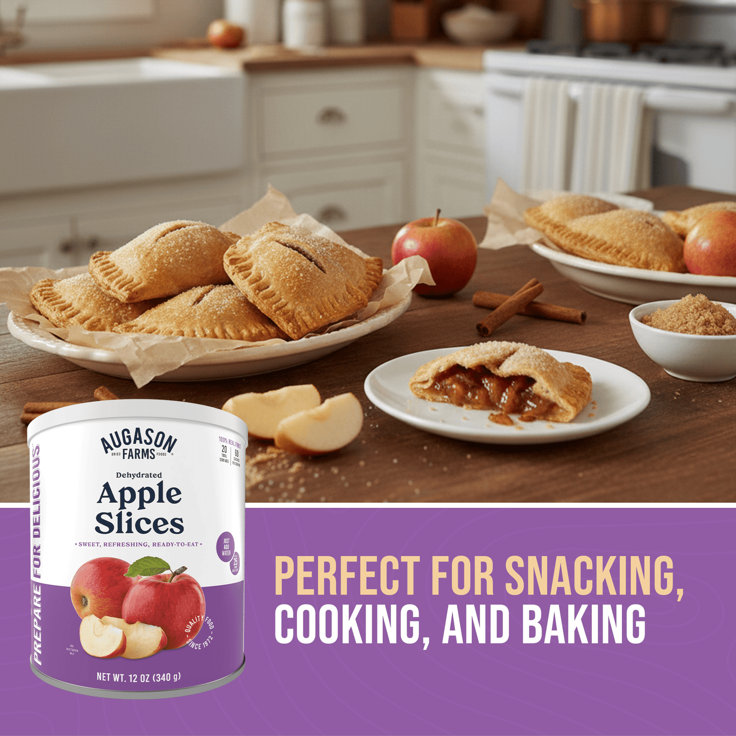 Dehydrated Apple Slices Can, 20 Servings