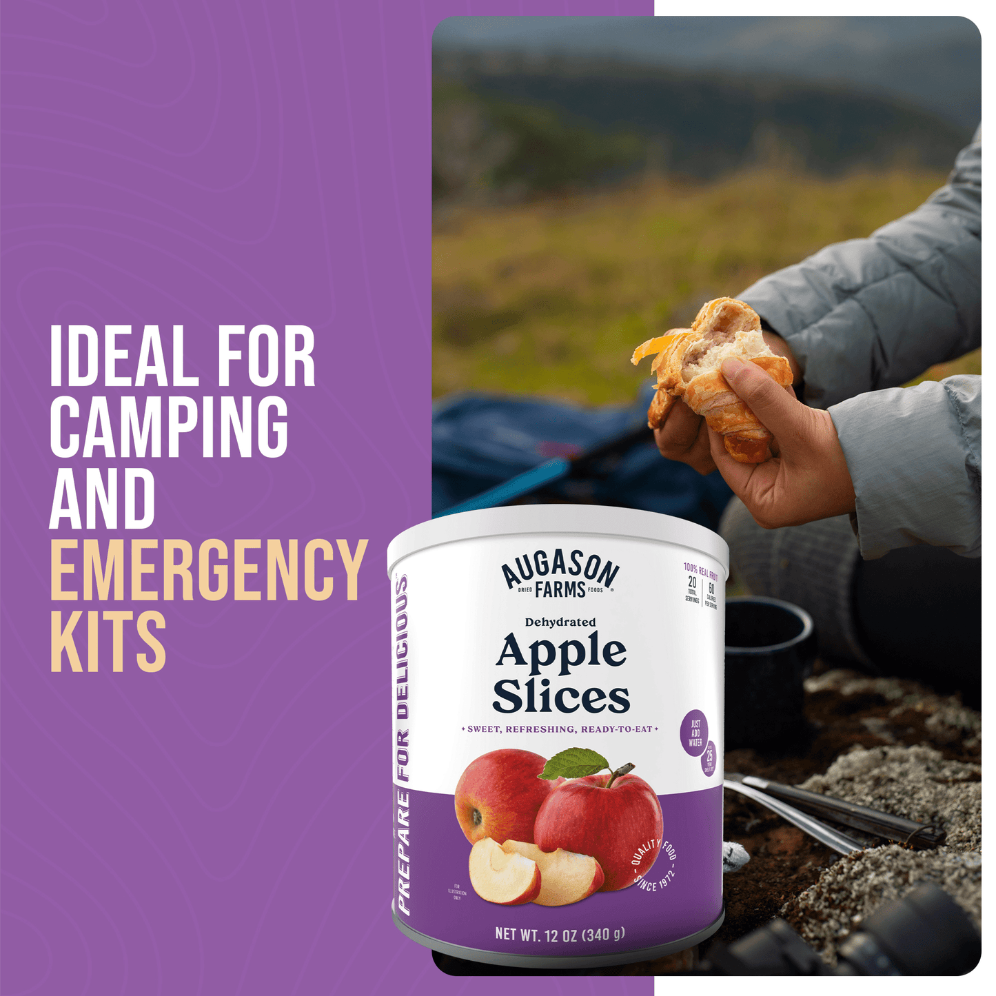 Dehydrated Apple Slices Can, 20 Servings