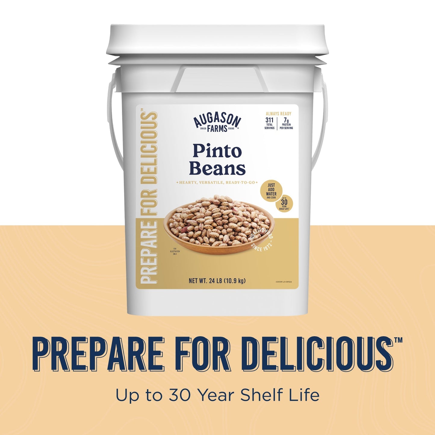 Dried Pinto Beans 4 Gallon Pail, 311 Servings
