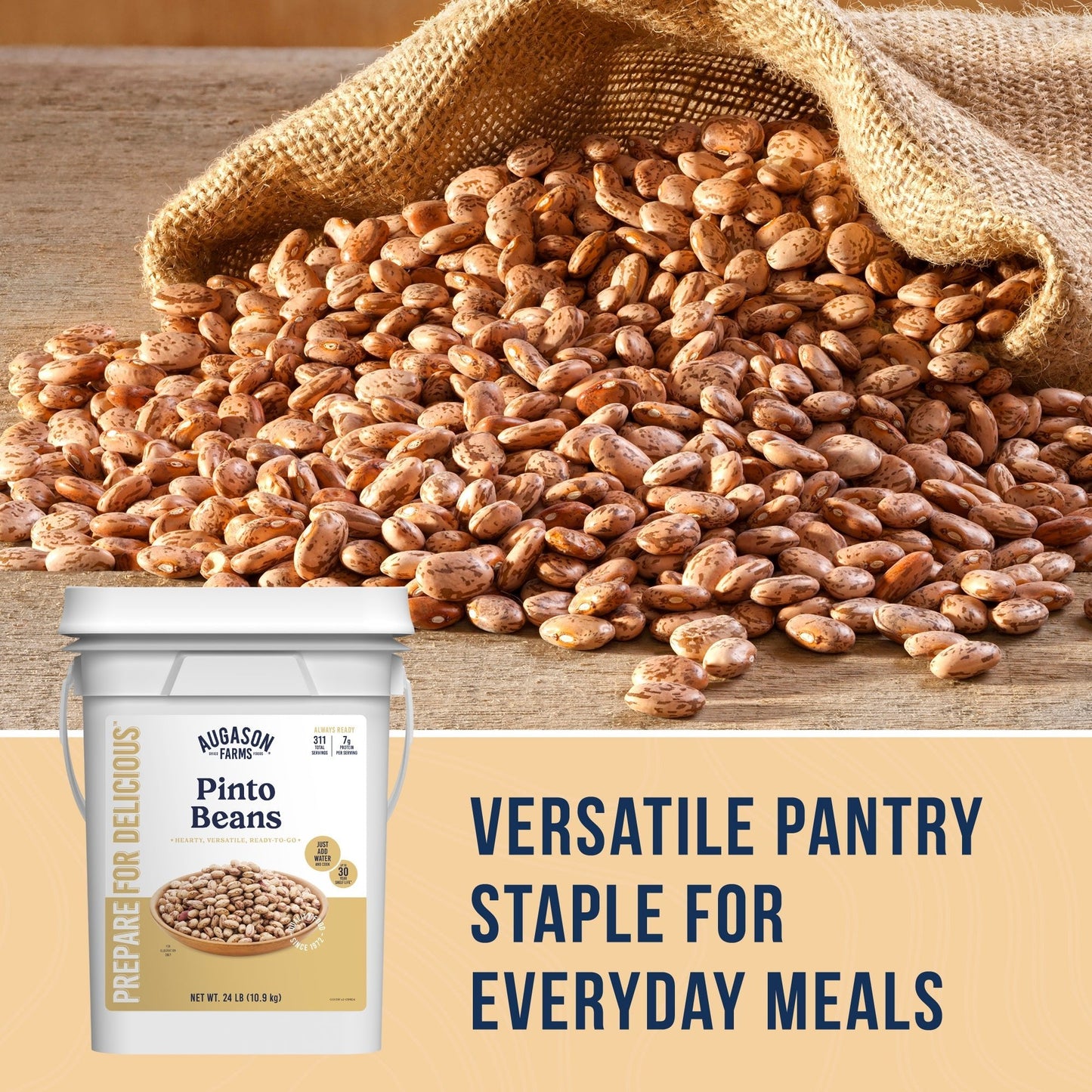 Dried Pinto Beans 4 Gallon Pail, 311 Servings