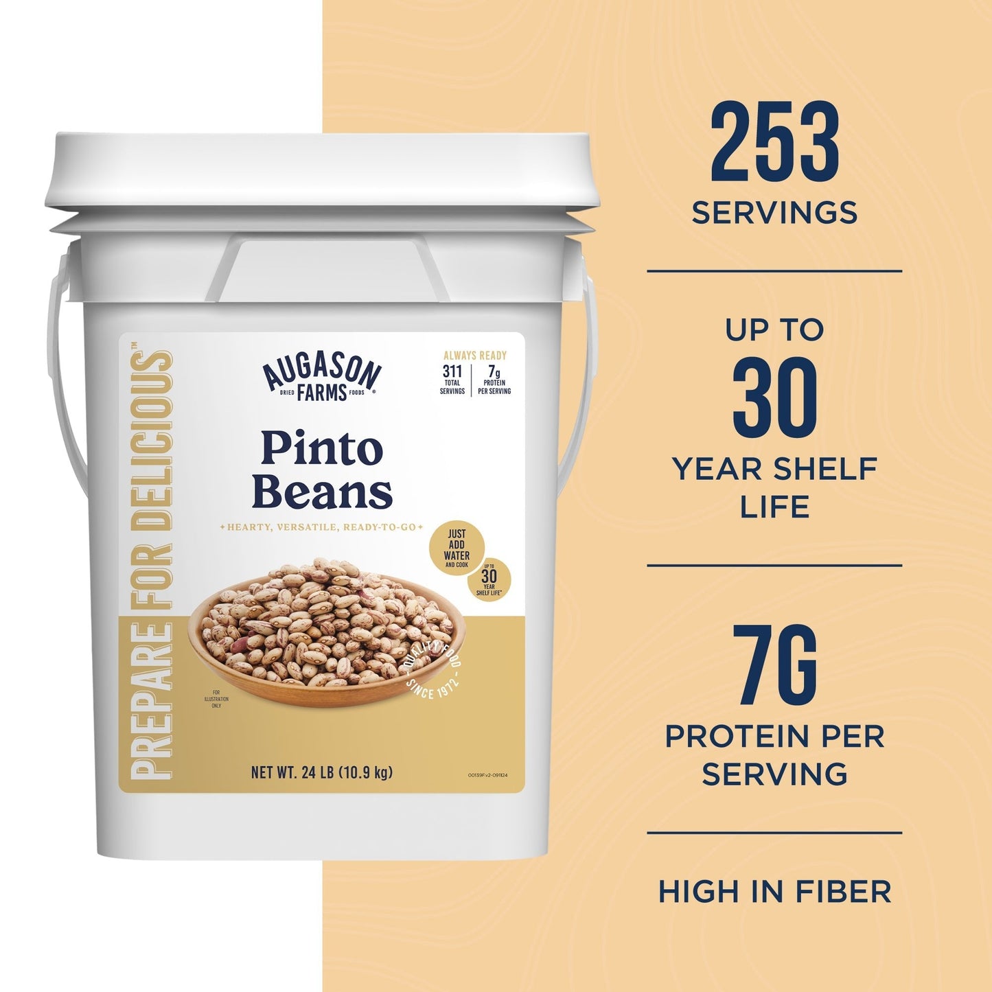 Dried Pinto Beans 4 Gallon Pail, 311 Servings