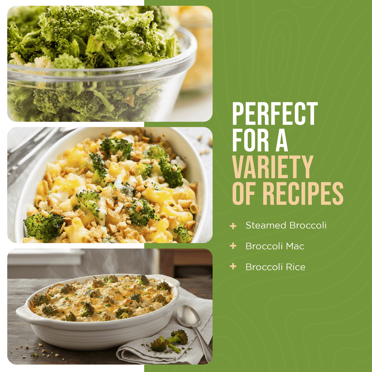 Freeze Dried Broccoli Florets and Stems Can, 34 Servings