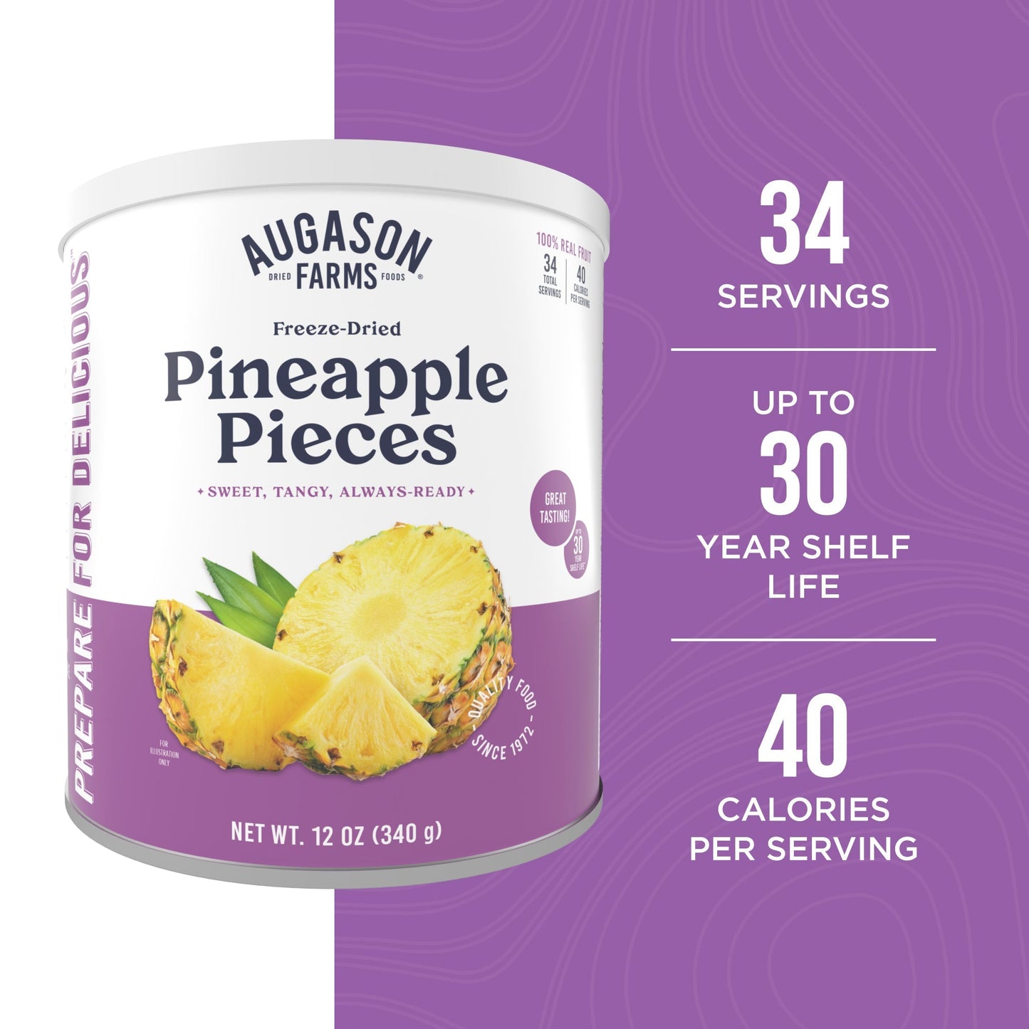 Freeze Dried Pineapple Pieces Can, 34 Servings