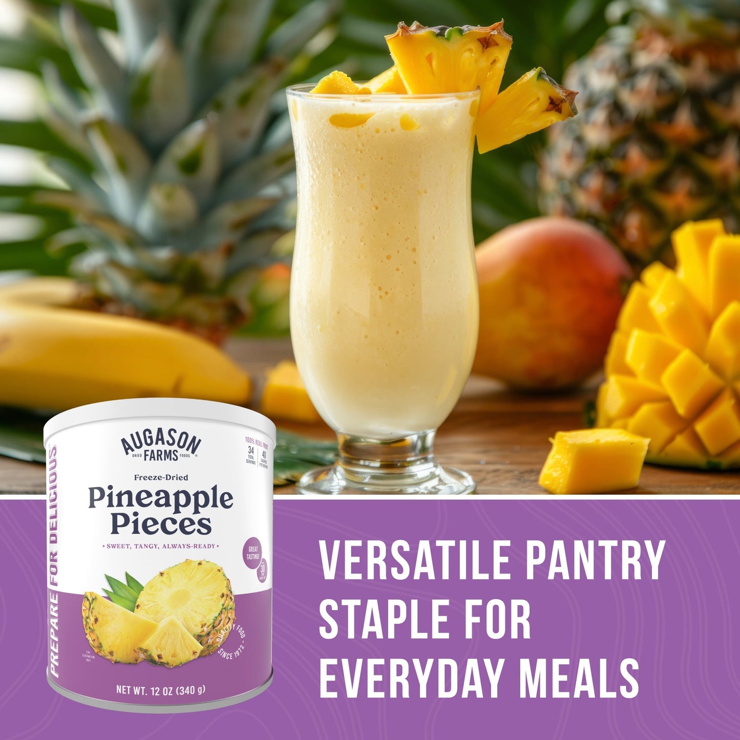 Freeze Dried Pineapple Pieces Can, 34 Servings
