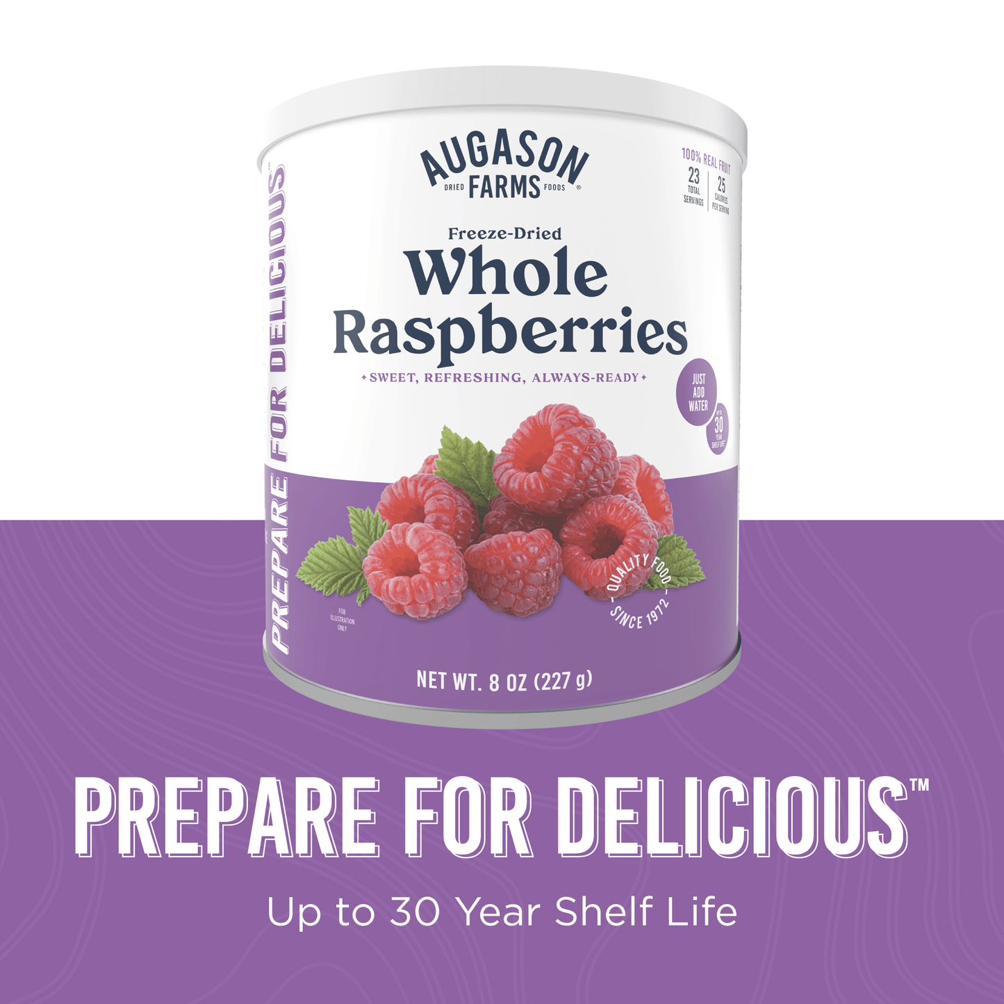 Freeze Dried Whole Raspberries Can, 23 Servings