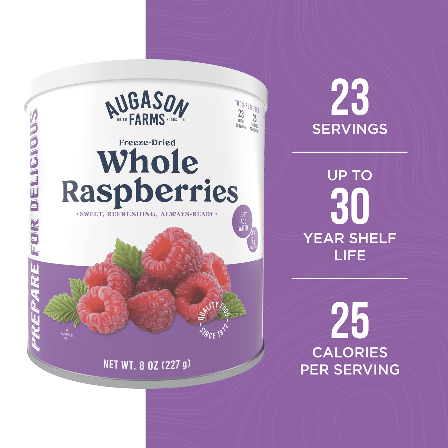 Freeze Dried Whole Raspberries Can, 23 Servings