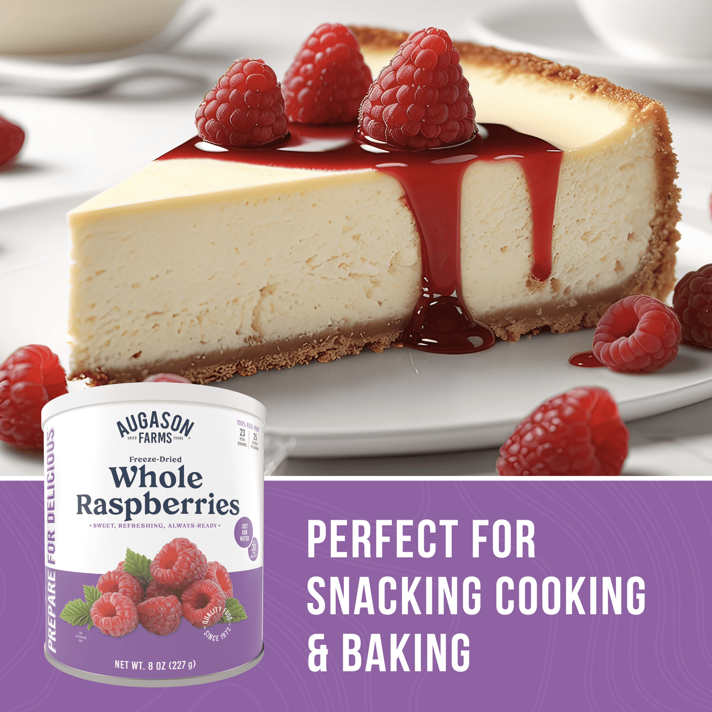Freeze Dried Whole Raspberries Can, 23 Servings