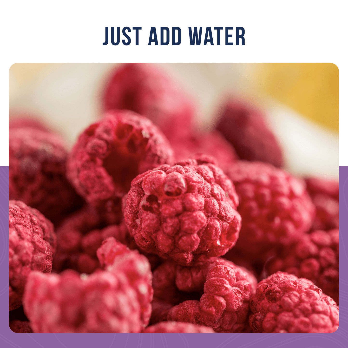 Freeze Dried Whole Raspberries Can, 23 Servings