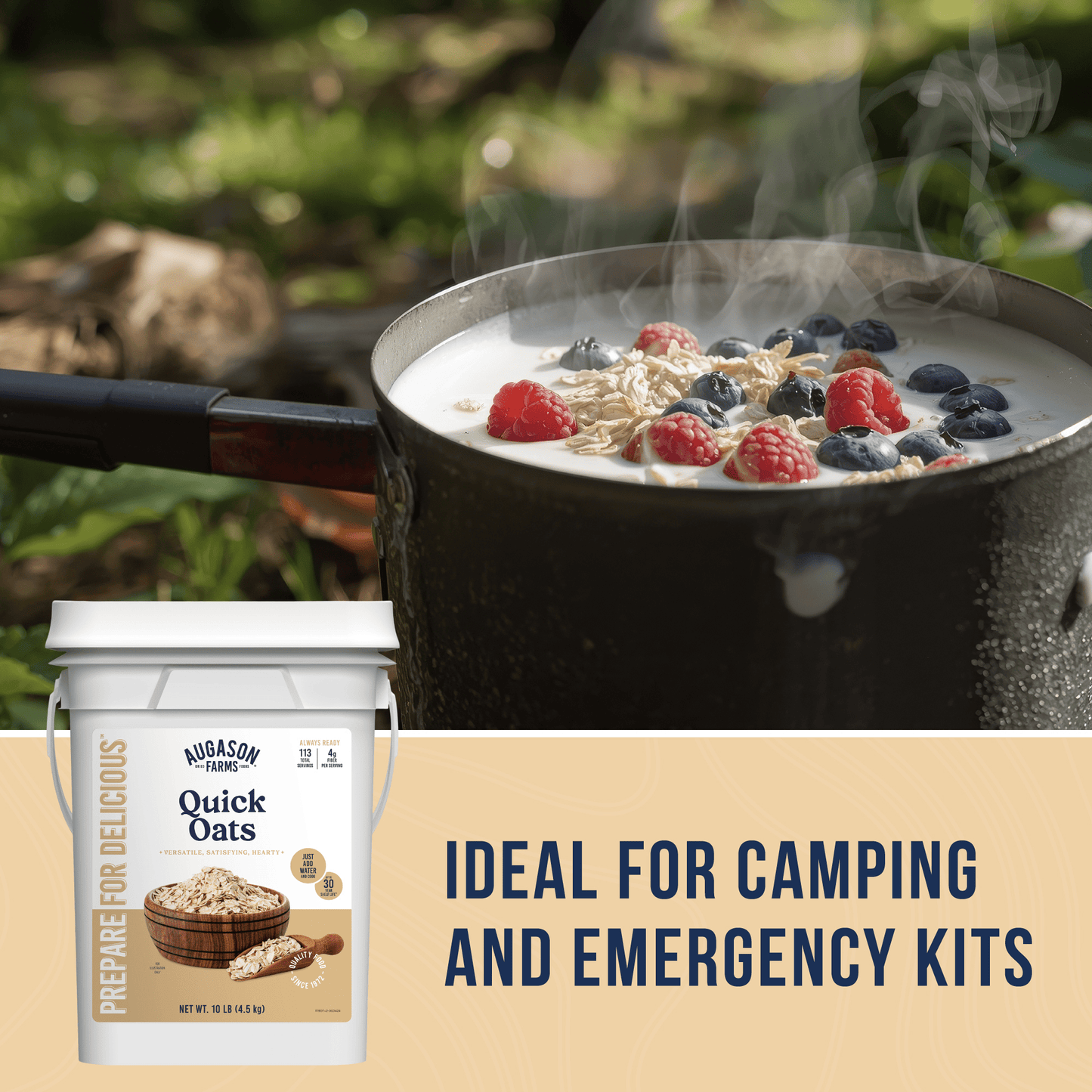 Quick Oats 4 Gallon Pail, 113 Servings